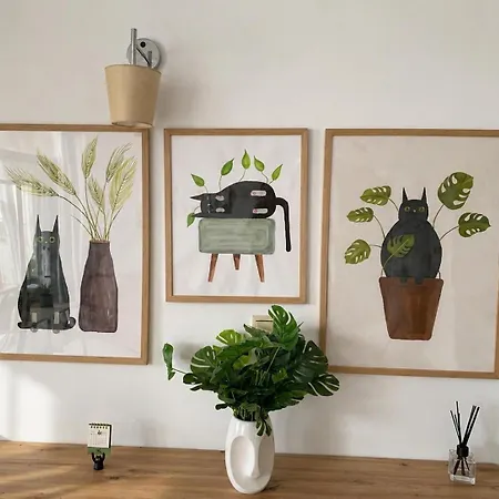 Apartment студио за гости 